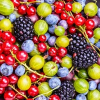 СУПЕР НОВИНКИ