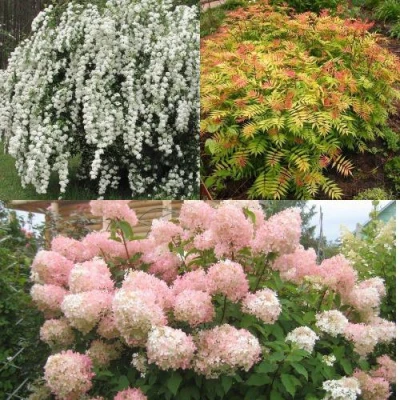 Комплект ФЕЙЕРВЕРК ЛЕТА в Ростове-на-Дону