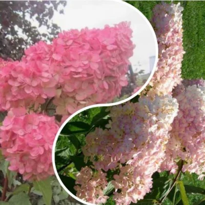 Комплект МНОГОГРАННОСТЬ в Ростове-на-Дону