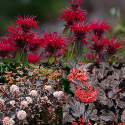 Комплект ОГНЕННЫЙ МИКС в Ростове-на-Дону