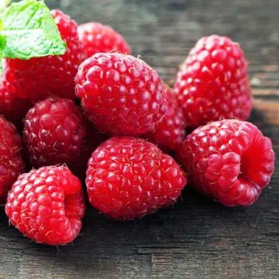 Малина ЭРИКА в Ростове-на-Дону