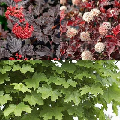 Комплект ОСЕННИЙ КОСТЕР в Ростове-на-Дону