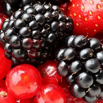 Ежевика  Ежевика в Ростове-на-Дону