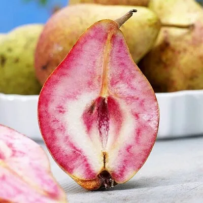 Груша БЛЮТБЕРН  Груша БЛЮТБЕРН в Ростове-на-Дону