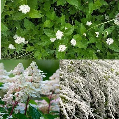 Комплект СКАНДИНАВСКИЙ СТИЛЬ в Ростове-на-Дону