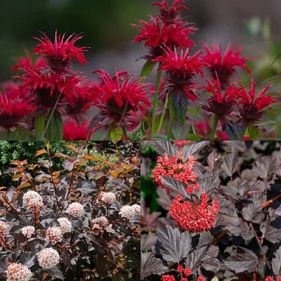 Комплект ОГНЕННЫЙ МИКС в Ростове-на-Дону