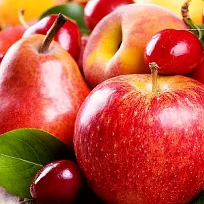 Плодовые деревья  Плодовые деревья в Ростове-на-Дону