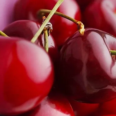 Вишня  Вишня в Ростове-на-Дону