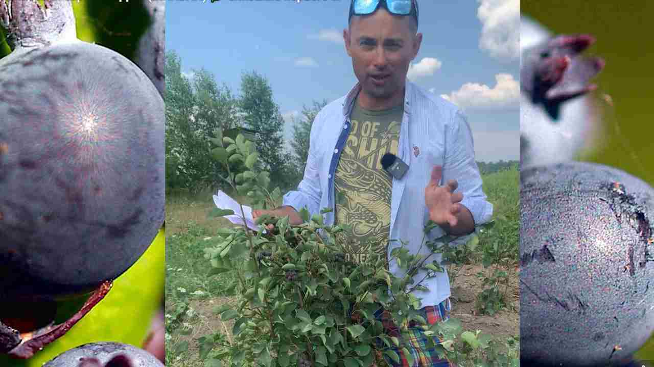 Превью видео